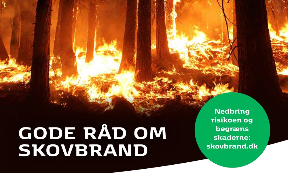 Gode råd om skovbrand